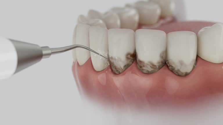 Reliable Dental contractor in South Dennis, NJ by Dentist Open Now